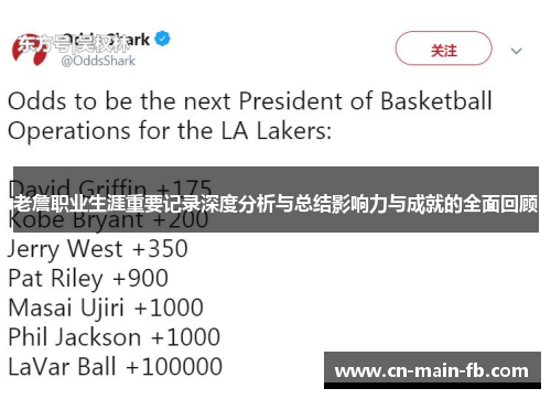 老詹职业生涯重要记录深度分析与总结影响力与成就的全面回顾
