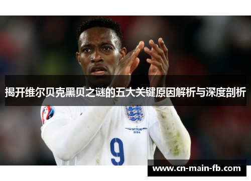 揭开维尔贝克黑贝之谜的五大关键原因解析与深度剖析