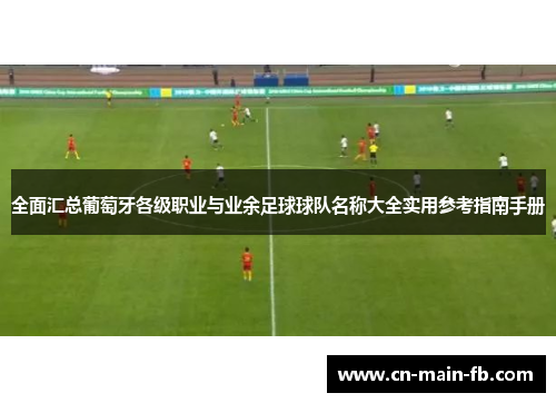 全面汇总葡萄牙各级职业与业余足球球队名称大全实用参考指南手册
