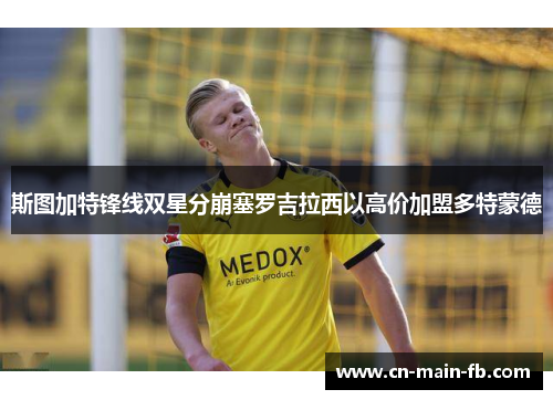 斯图加特锋线双星分崩塞罗吉拉西以高价加盟多特蒙德 斯图加特锋线双星分崩塞罗吉拉西以高价加盟多特蒙德