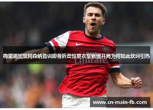 梅里诺加盟阿森纳首训即骨折震惊更衣室新援开局为何如此坎坷引热