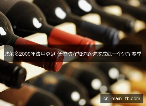 波尔多2009年法甲夺冠 低位防守加边路进攻成就一个冠军赛季